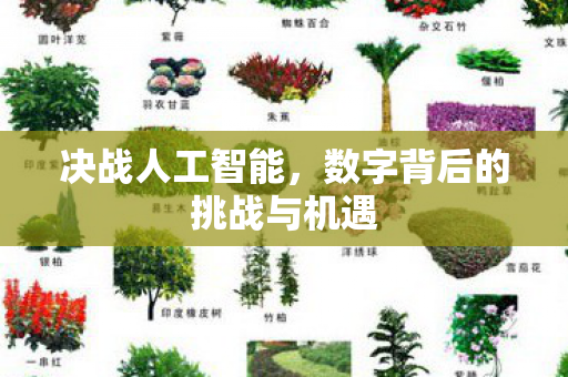 决战人工智能，数字背后的挑战与机遇
