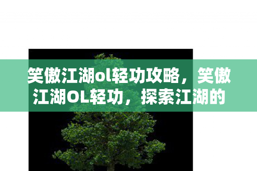 笑傲江湖ol轻功攻略，笑傲江湖OL轻功，探索江湖的飞翔之旅