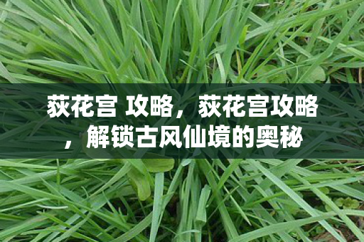 解锁古风仙境的奥秘图片