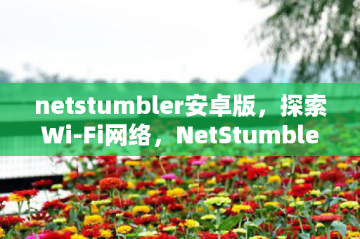 NetStumbler中文版的全面指南图片