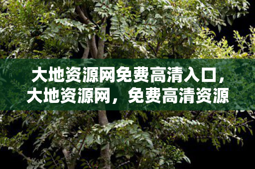 免费高清资源的探索与反思图片