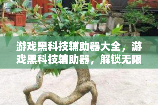 解锁无限可能的神秘钥匙图片