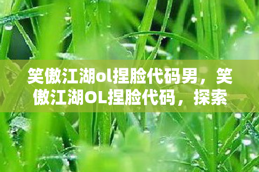 笑傲江湖ol捏脸代码男，笑傲江湖OL捏脸代码，探索个性化角色定制的奥秘