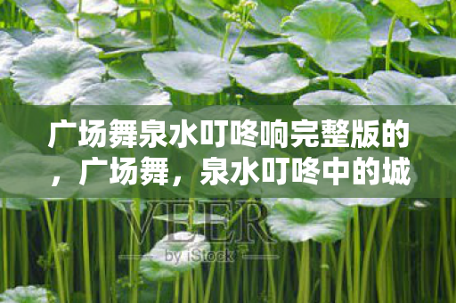 广场舞泉水叮咚响完整版的图片
