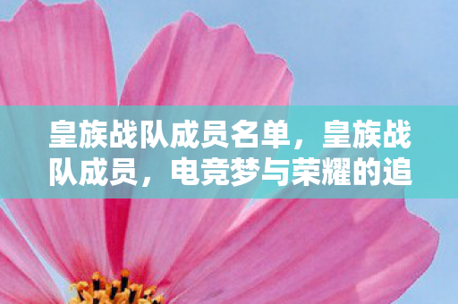 电竞梦与荣耀的追寻者图片