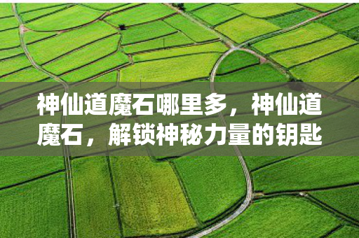 解锁神秘力量的钥匙图片