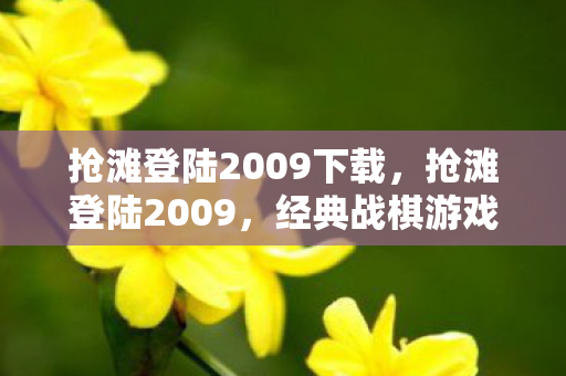 抢滩登陆2009下载图片