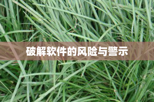 破解软件的风险与警示图片