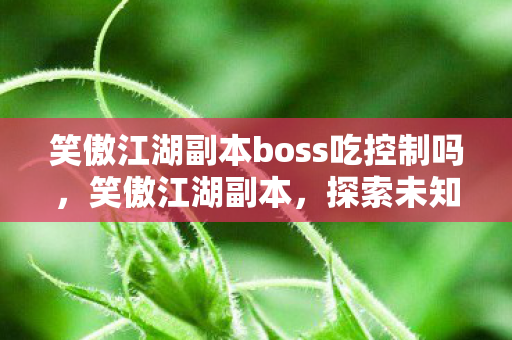 笑傲江湖副本boss吃控制吗，笑傲江湖副本，探索未知世界的奇幻之旅