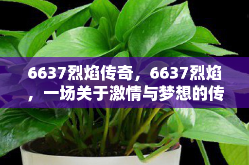 一场关于激情与梦想的传奇之旅图片