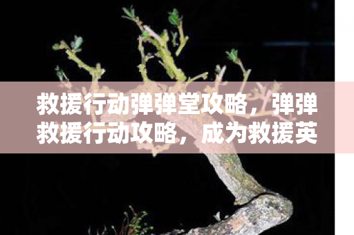 救援行动弹弹堂攻略图片