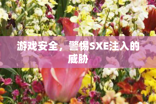 警惕SXE注入的威胁图片