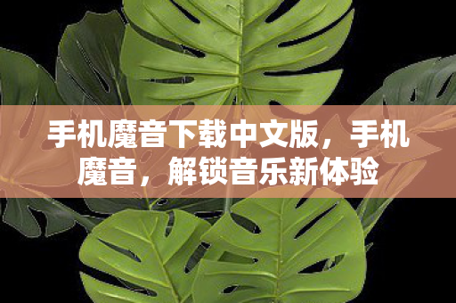手机魔音下载中文版图片