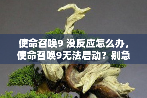 使命召唤9 没反应怎么办图片