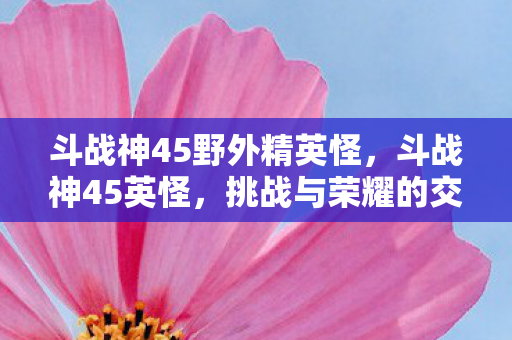 斗战神45野外精英怪图片