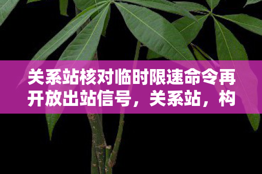 关系站核对临时限速命令再开放出站信号图片