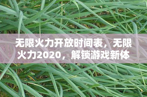 无限火力开放时间表图片