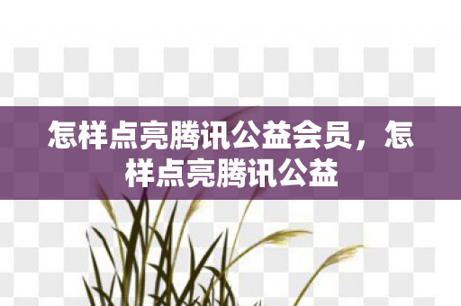 怎样点亮腾讯公益会员图片