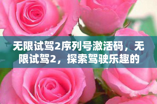 无限试驾2序列号激活码图片
