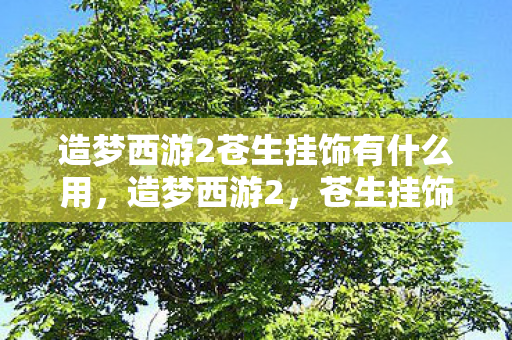 造梦西游2苍生挂饰有什么用图片