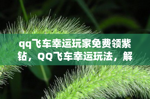 qq飞车幸运玩家免费领紫钻图片