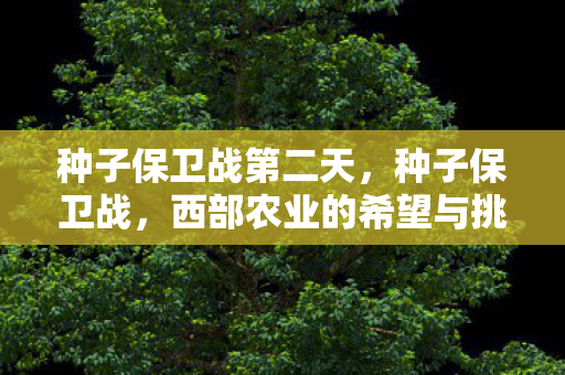 西部农业的希望与挑战图片