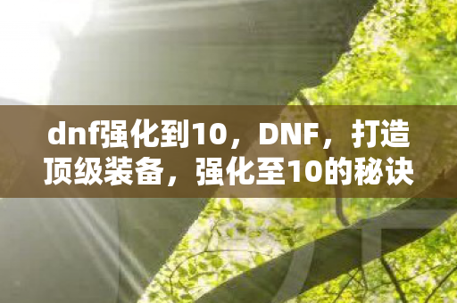 dnf强化到10图片
