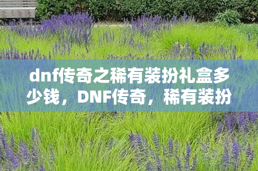 dnf传奇之稀有装扮礼盒多少钱图片