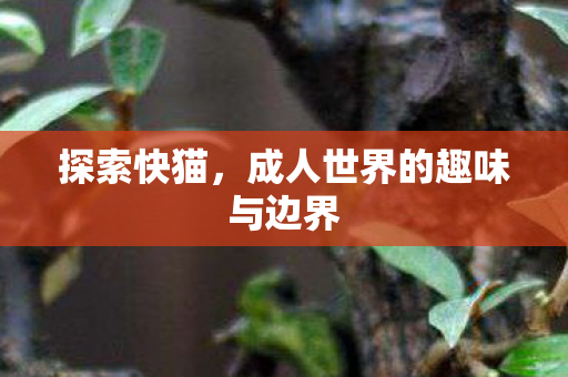 成人世界的趣味与边界图片