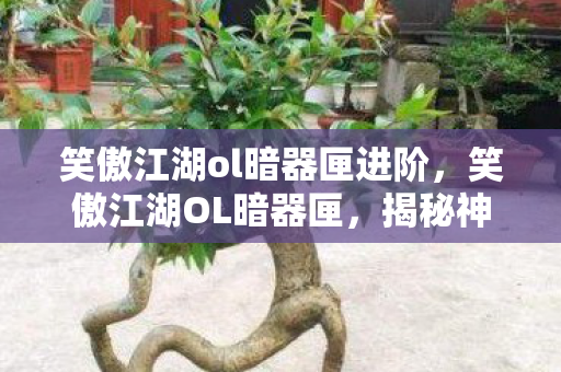 笑傲江湖ol暗器匣进阶，笑傲江湖OL暗器匣，揭秘神秘武器背后的故事