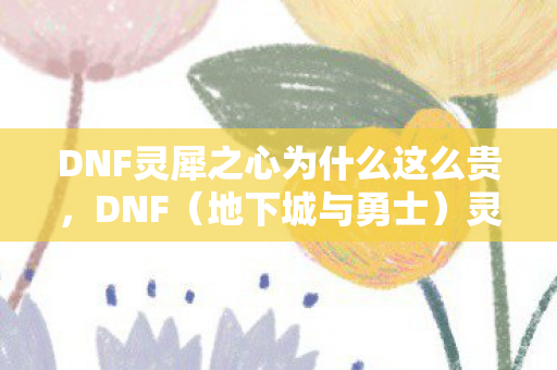 DNF灵犀之心为什么这么贵图片
