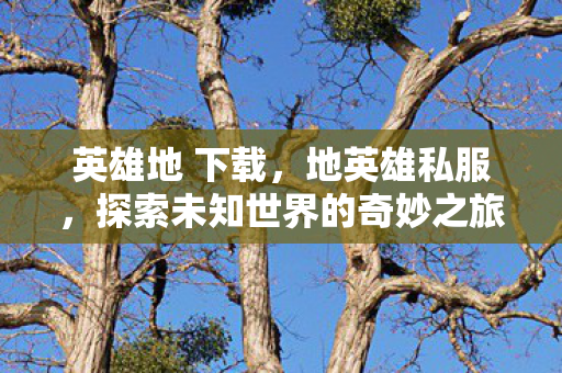 探索未知世界的奇妙之旅图片