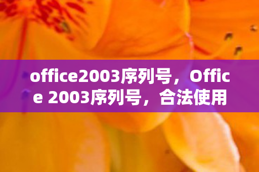 Office 2003序列号图片