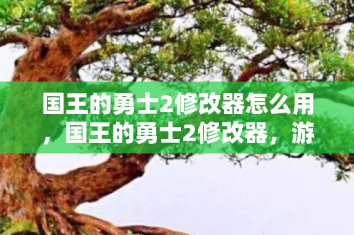 国王的勇士2修改器怎么用图片