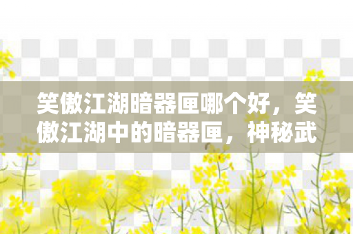 笑傲江湖暗器匣哪个好，笑傲江湖中的暗器匣，神秘武器与江湖风云的交织