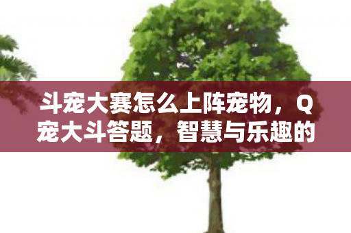 斗宠大赛怎么上阵宠物图片