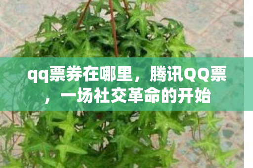 一场社交革命的开始图片