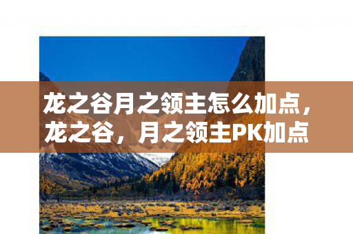 龙之谷月之领主怎么加点图片