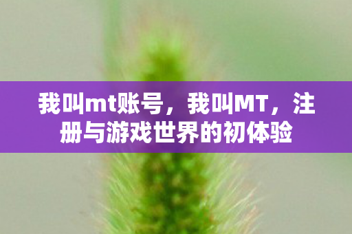 注册与游戏世界的初体验图片