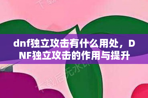 DNF独立攻击的作用与提升策略图片