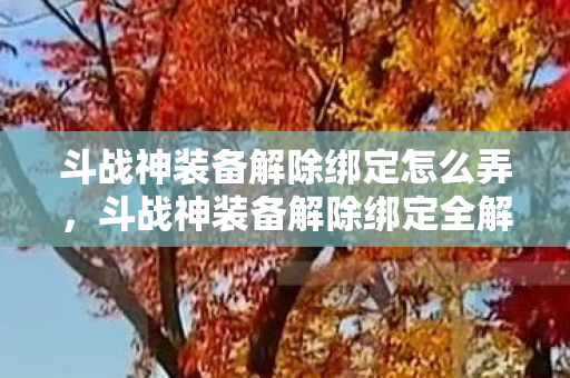 斗战神装备解除绑定怎么弄图片