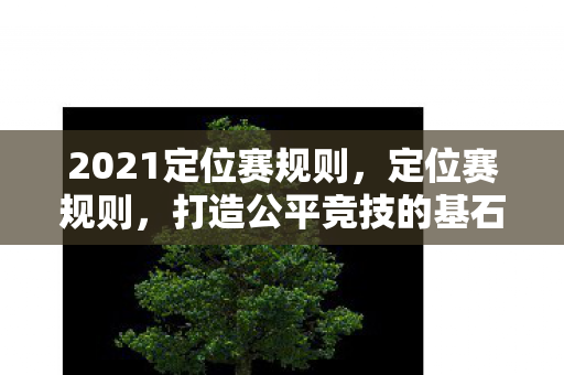 2021定位赛规则图片