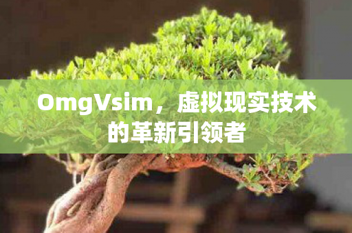 OmgVsim，虚拟现实技术的革新引领者