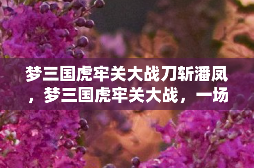 梦三国虎牢关大战刀斩潘凤，梦三国虎牢关大战，一场史诗般的战役