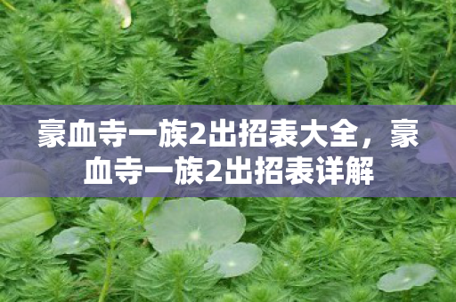 豪血寺一族2出招表大全图片