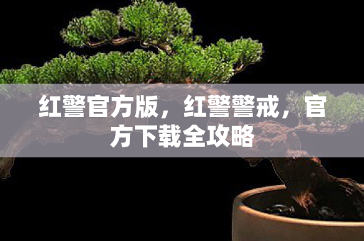 官方下载全攻略图片