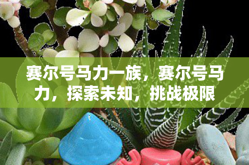 赛尔号马力一族图片