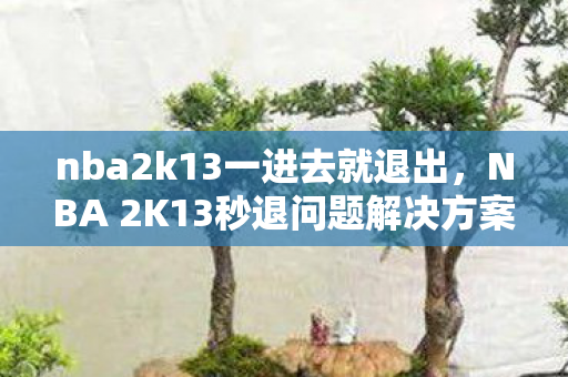NBA 2K13秒退问题解决方案图片