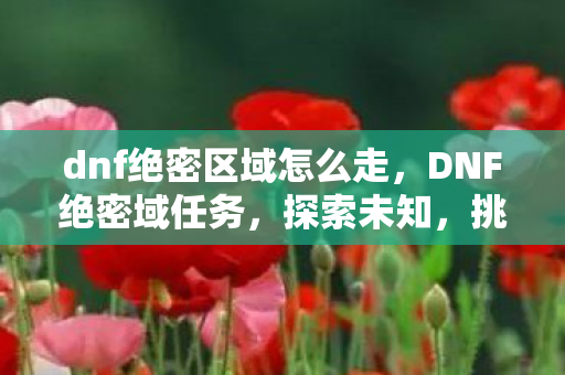 dnf绝密区域怎么走图片