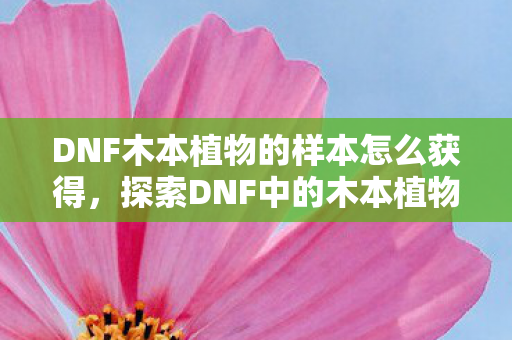 DNF木本植物的样本怎么获得，探索DNF中的木本植物，样本解析与生态意义